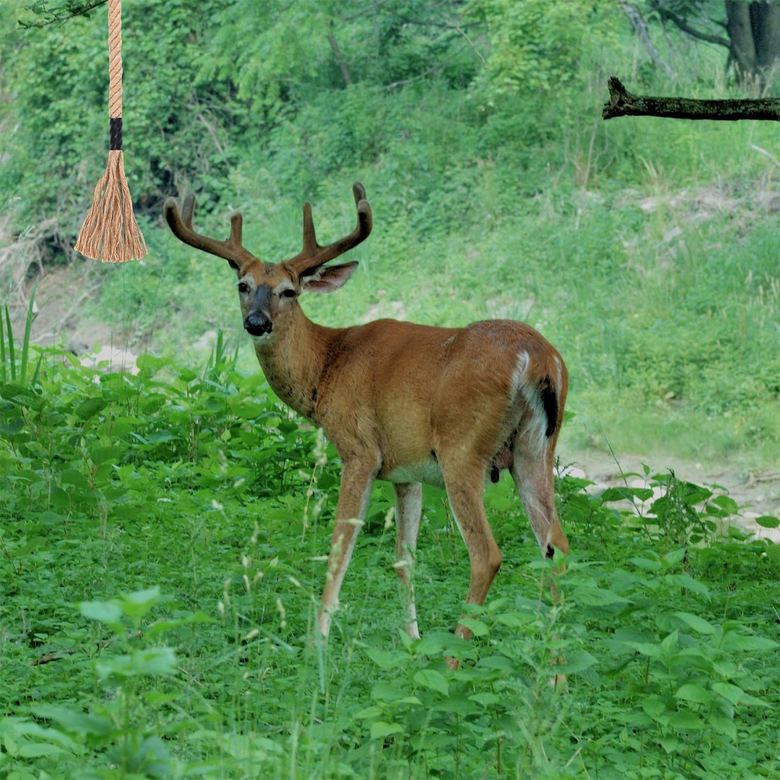 Deer Scent Rope Long-Lasting E - огляд і ціна Deer Attractant Scent